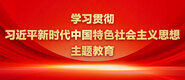 啊啊骚逼操逼视频学习贯彻习近平新时代中国特色社会主义思想主题教育_fororder_ad-371X160(2)